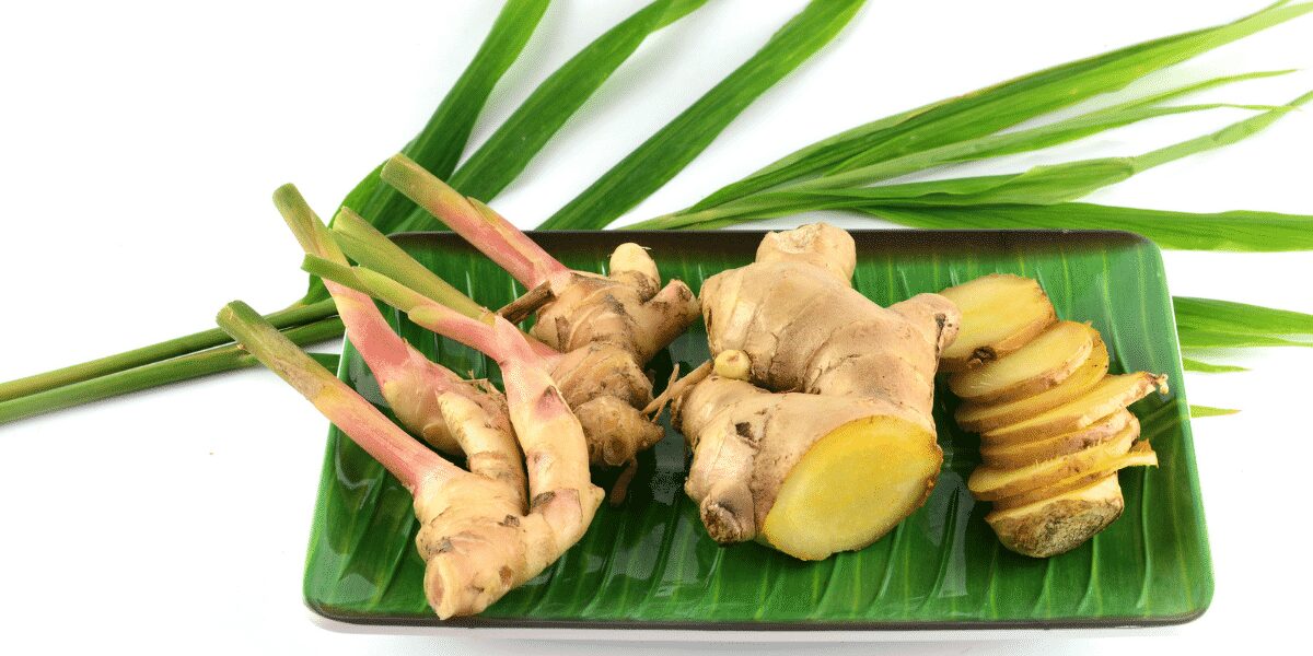 health benefits of ginger